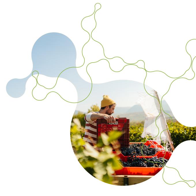 A trendy design representing a farmer harvesting fresh crops.
