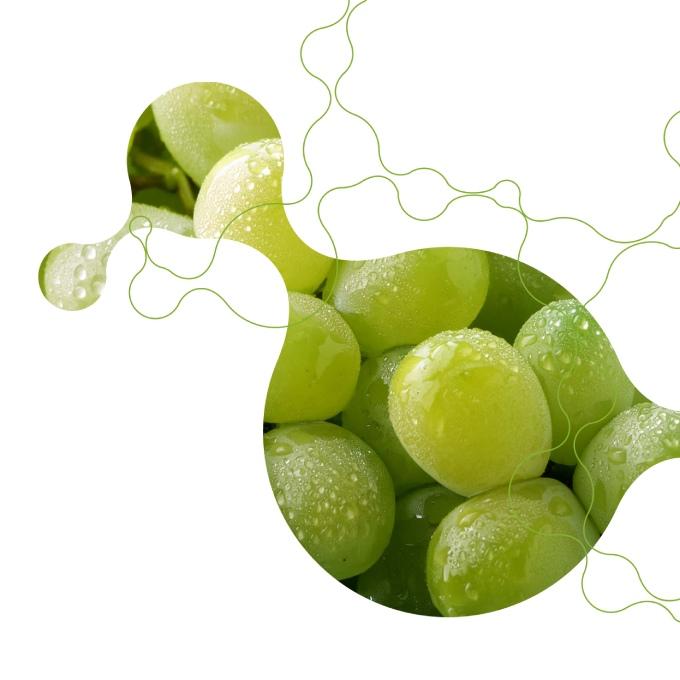 Grapes in a trendy design
