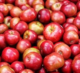 A whole bunch of apples